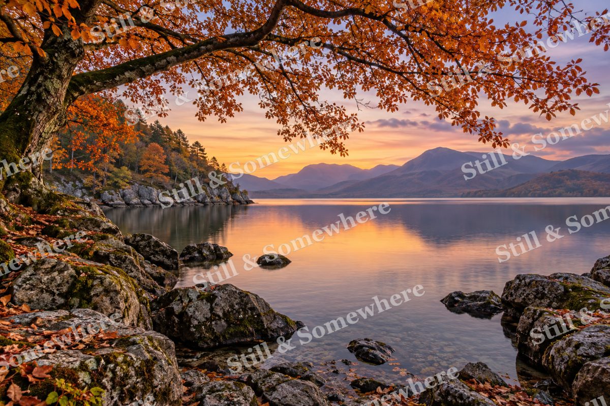 Quiet Coves of October, original artwork preview