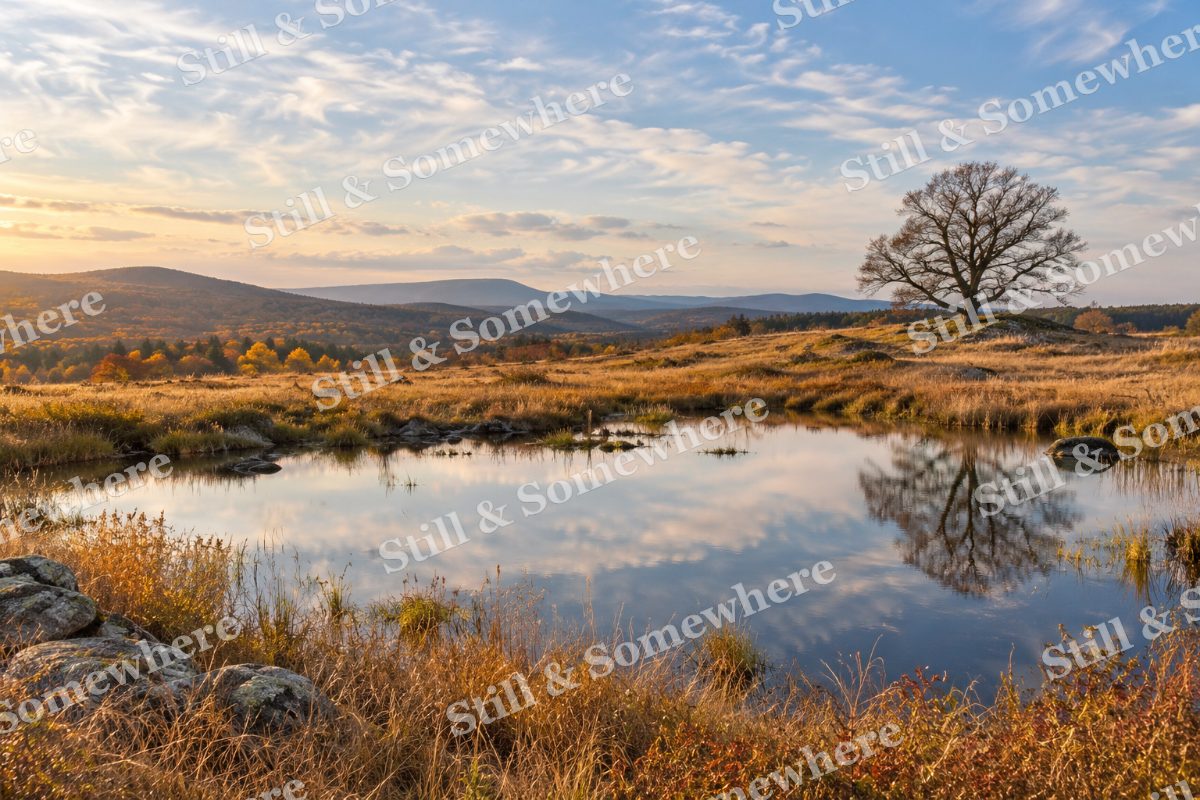 The Meadow Pool beneath Thin Clouds, original artwork preview