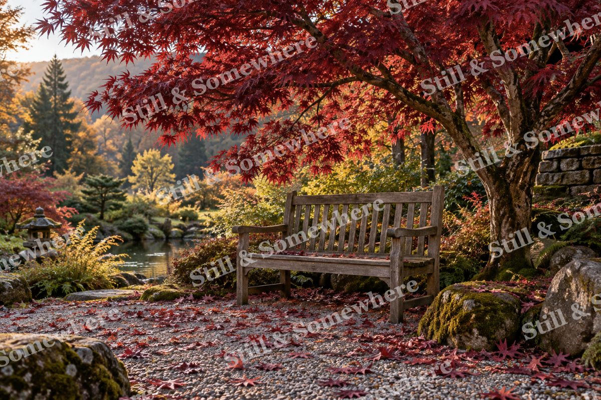 Autumn Garden Bench, original artwork preview