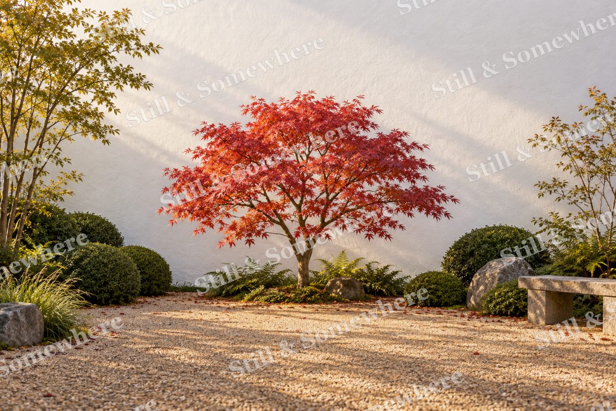 A Garden beside the White Wall, original artwork preview