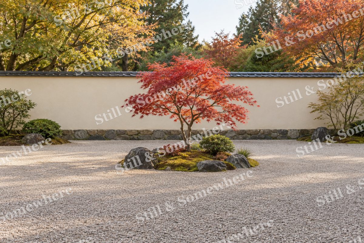 The Maple Island Garden, original artwork preview