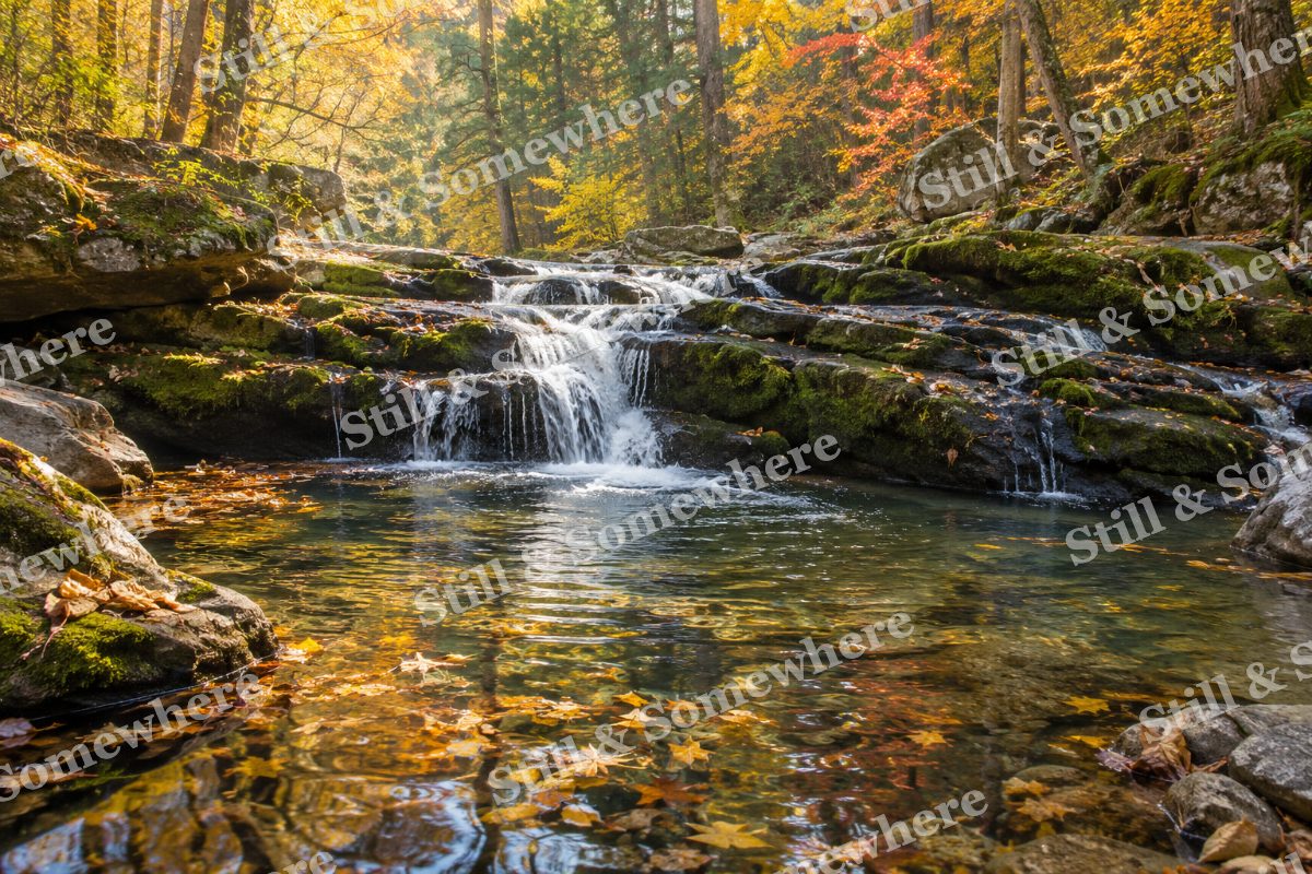 October Light on the Mossy Cascade, original artwork preview