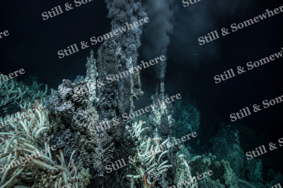 Hydrothermal Chimneys, original artwork preview