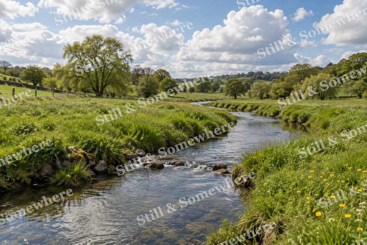 Meandering Spring Brook in Pasture, original artwork preview
