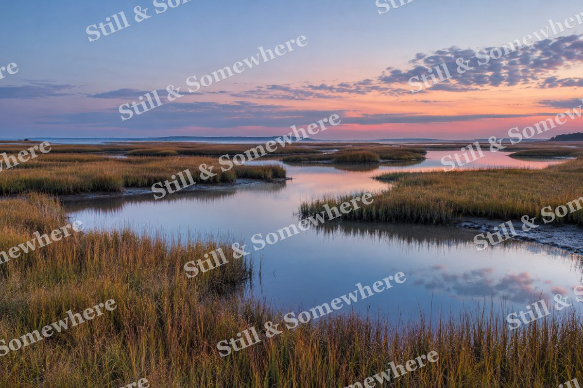 Blue Hour on the Salt Marsh, original artwork preview