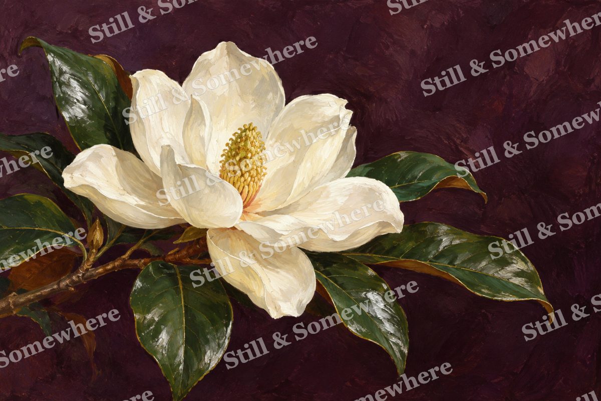 Magnolia on a Dark Ground, original artwork preview