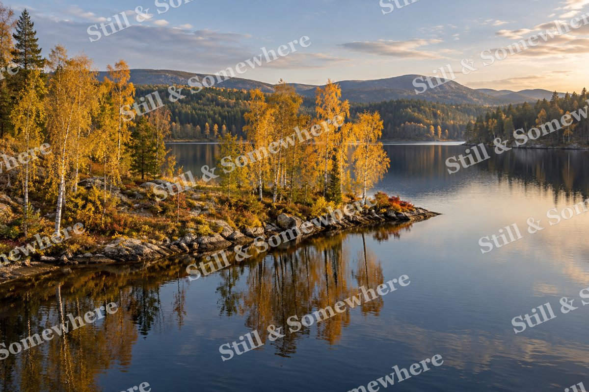 The Gold Birch Peninsula, original artwork preview