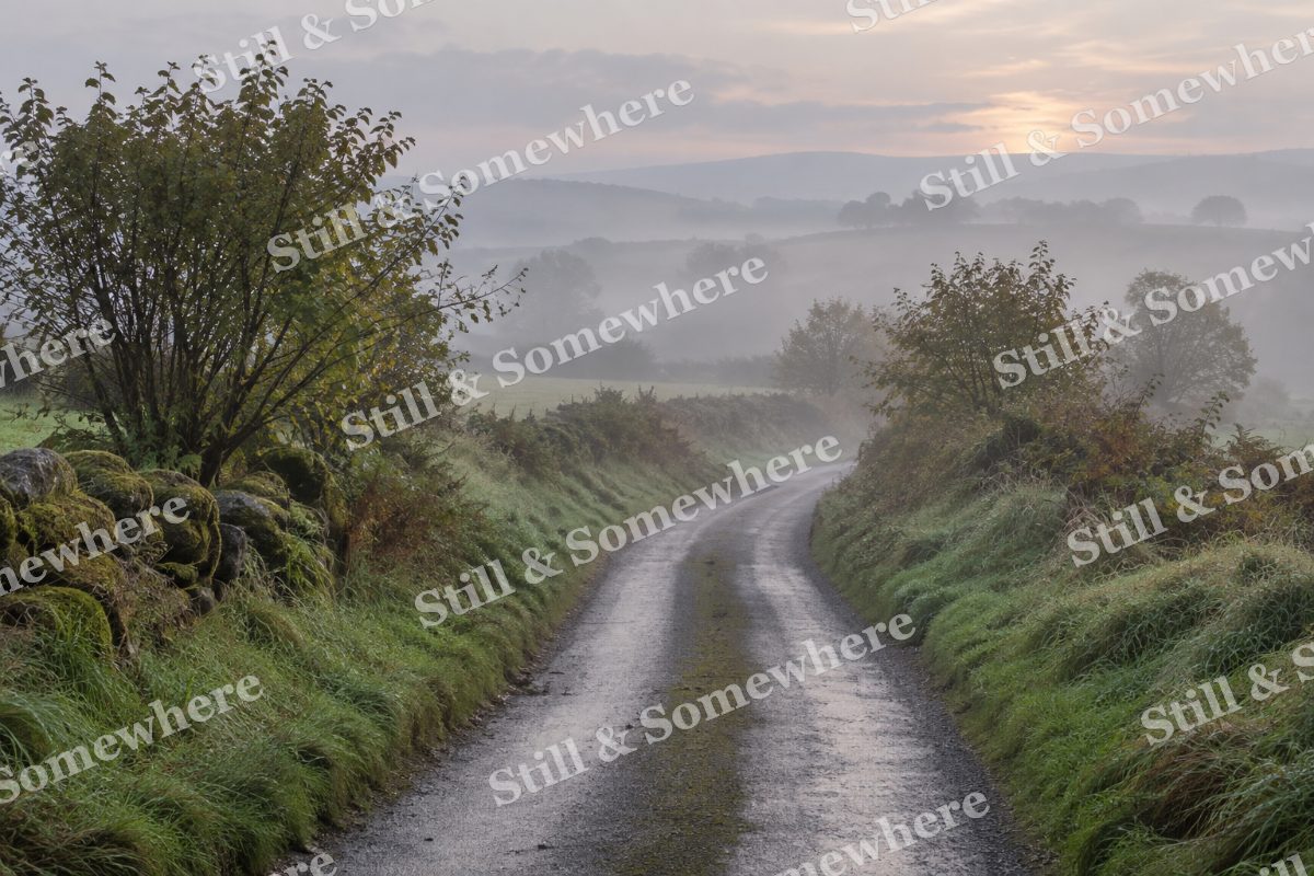 Landscapes Dawn Fog Over a Quiet Country Lane, original artwork preview