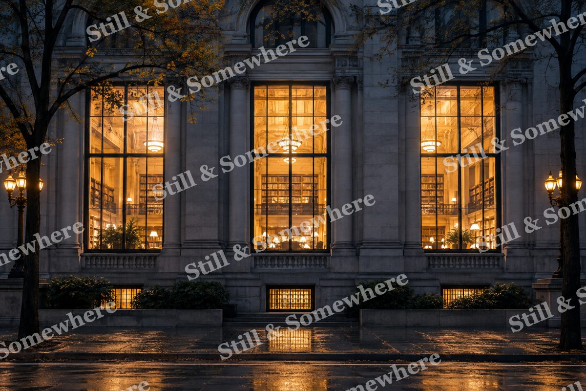 Lights Modern Library Windows, original artwork preview