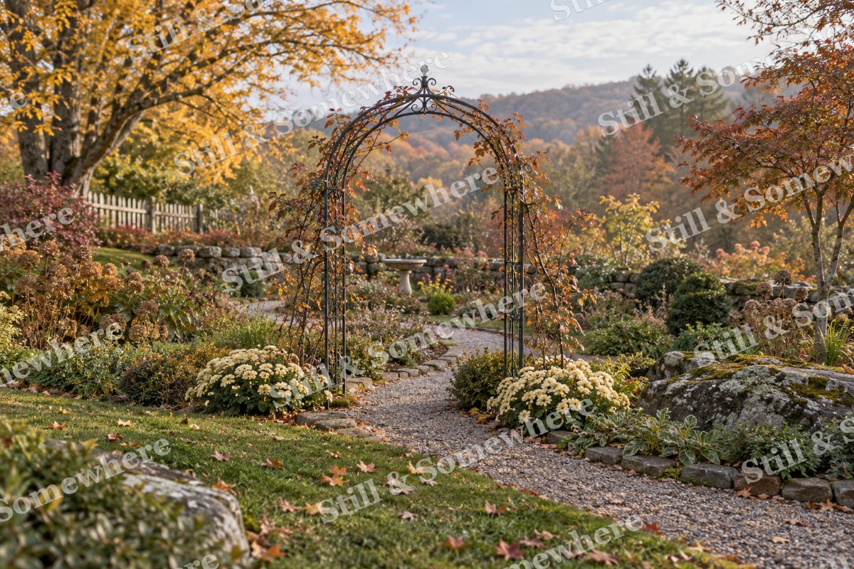 The Autumn Rose Arbor, original artwork preview