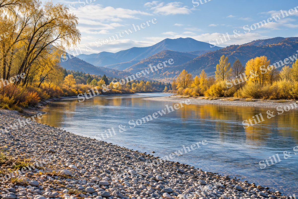 The Wide Willow Bend, original artwork preview