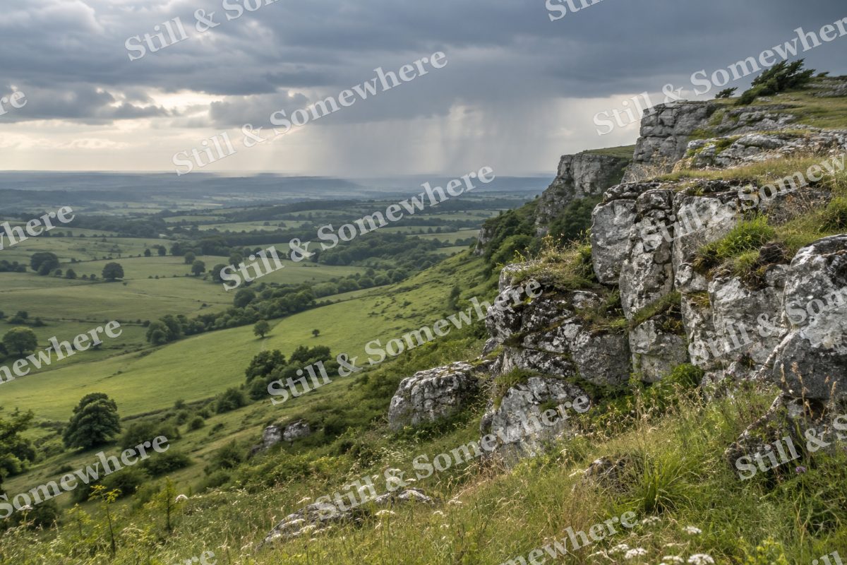 Soft Rain Over a Cliffside Meadow, original artwork preview