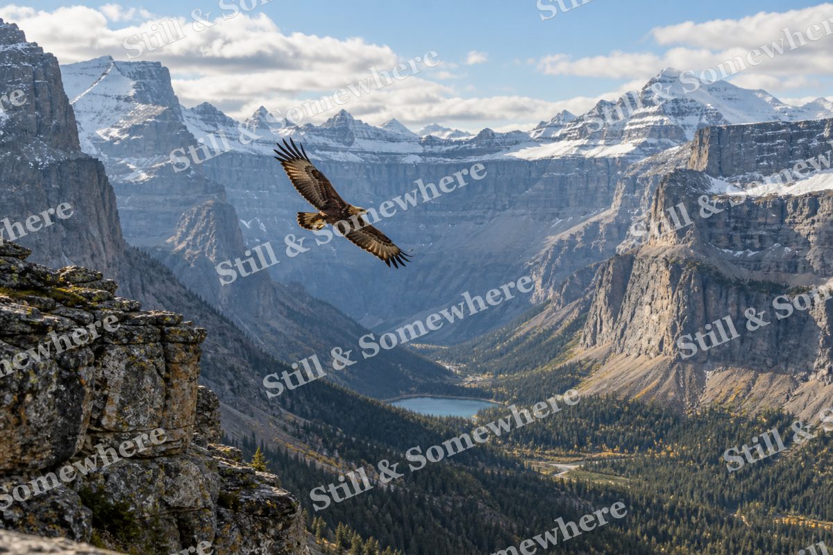 Golden Eagle Amphitheater, original artwork preview