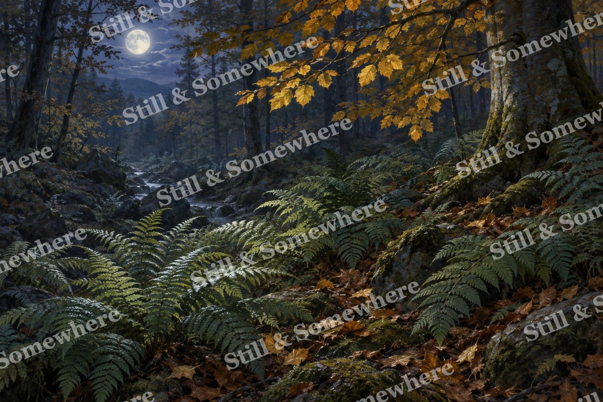 Moonlit Ferns and Turning Beech, original artwork preview