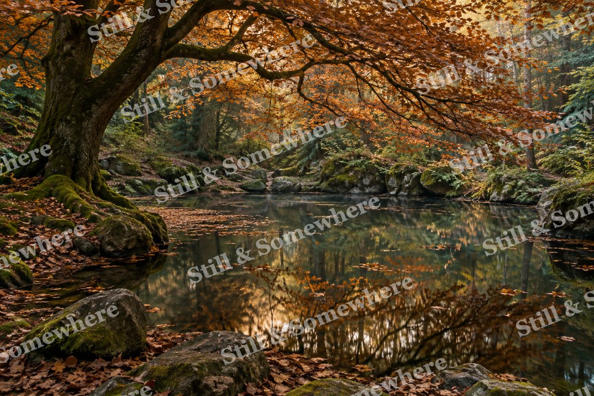 Landscapes Copper Beech Above a Secluded Pool, original artwork preview