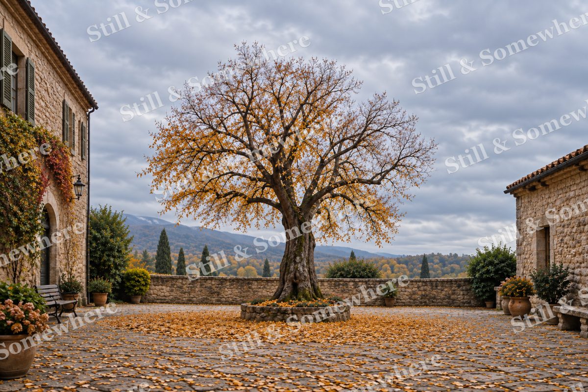 Last Leaves in the Courtyard, original artwork preview
