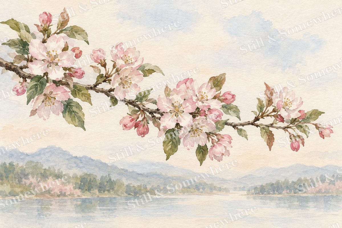 Crabapple Blossom Study, original artwork preview