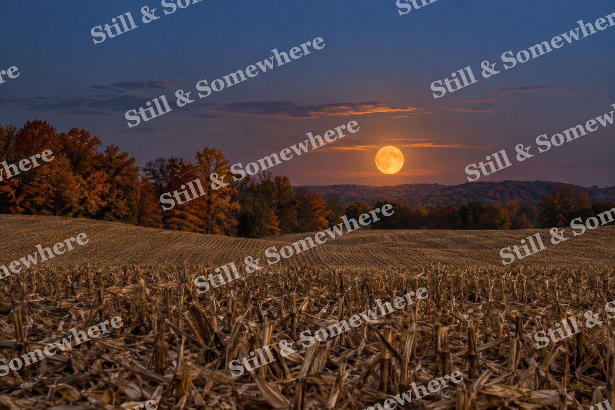 Harvest Moon over Cornfield, original artwork preview
