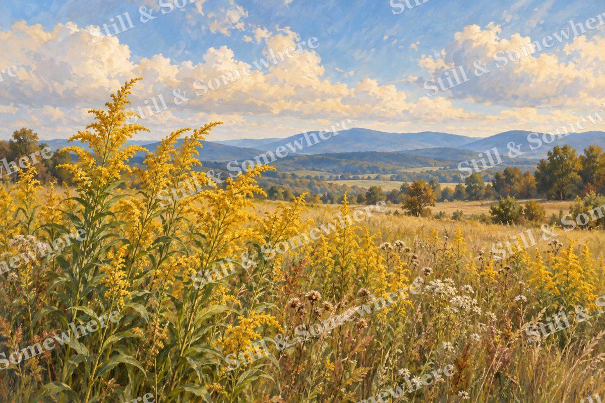 Goldenrod in the September Field, original artwork preview