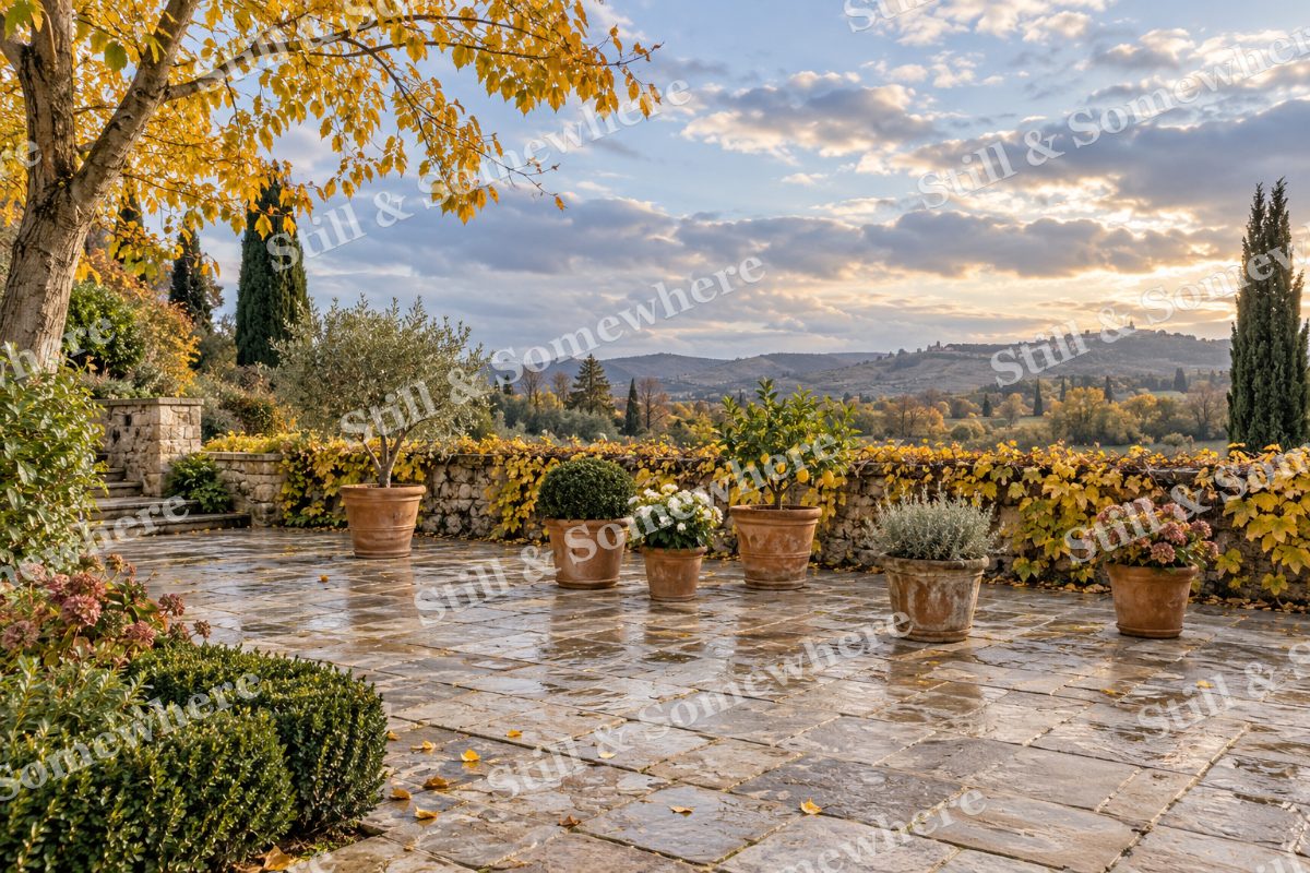The Garden Terrace after the Shower, original artwork preview