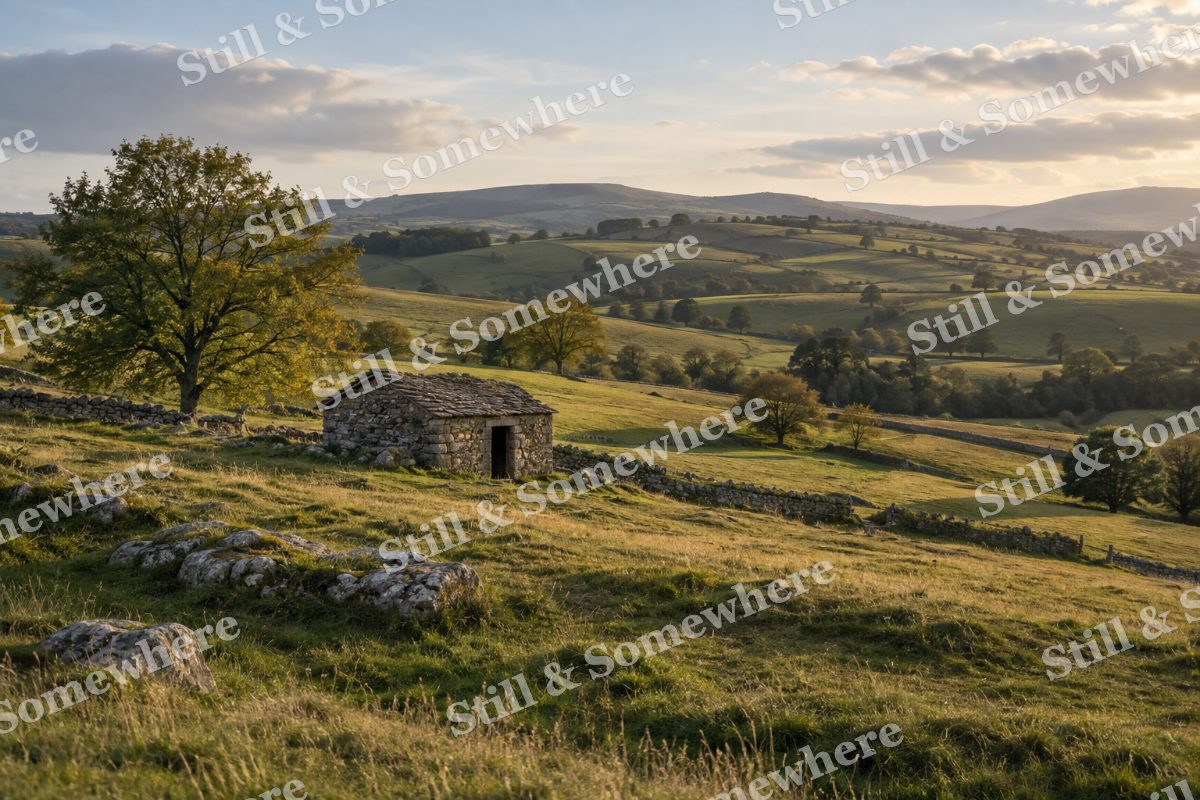 Landscapes September Light on Rolling Pastures, original artwork preview