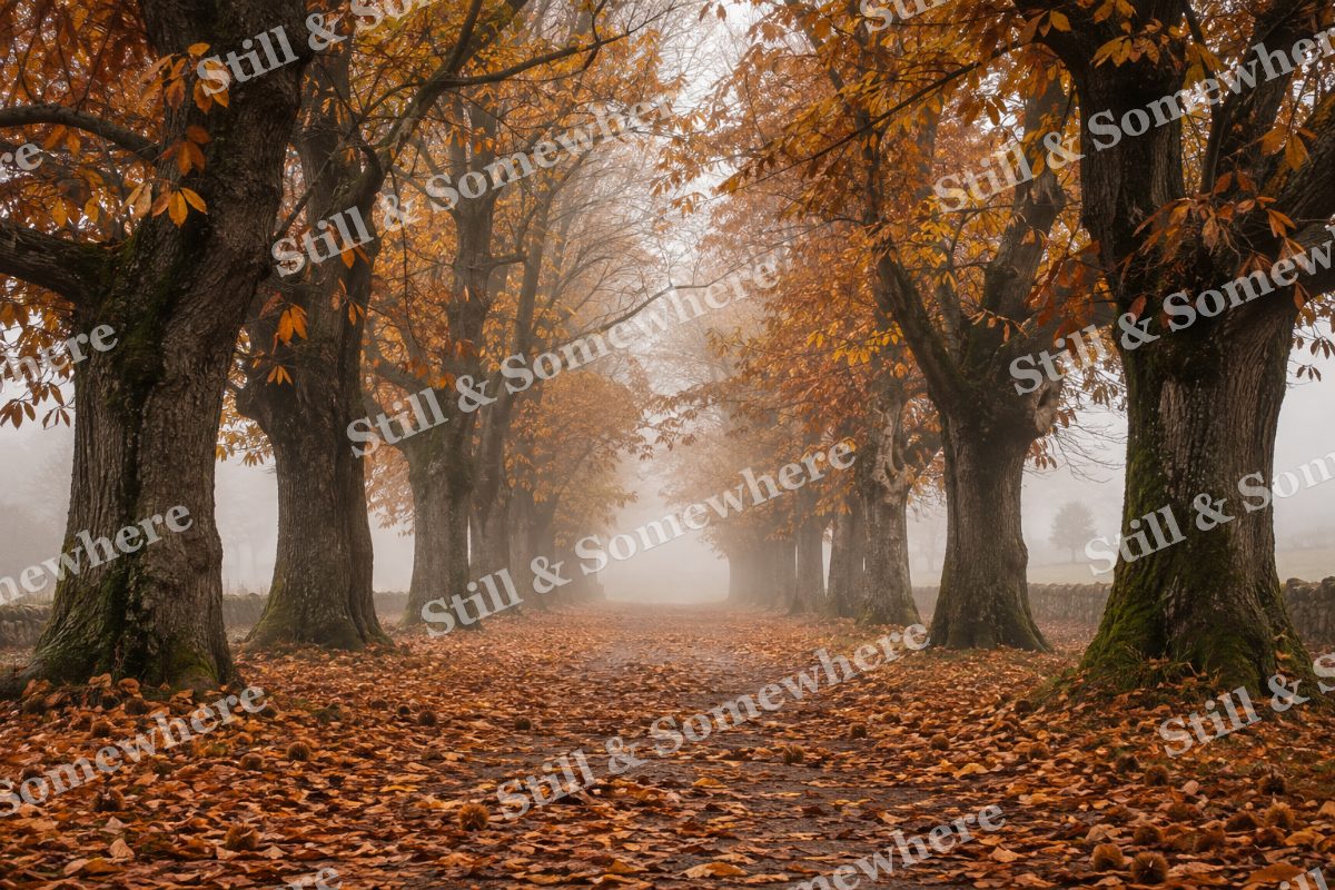 Chestnut Lane in Fog, original artwork preview