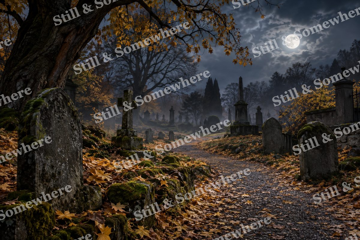 05 Moonlit Cemetery Path, original artwork preview