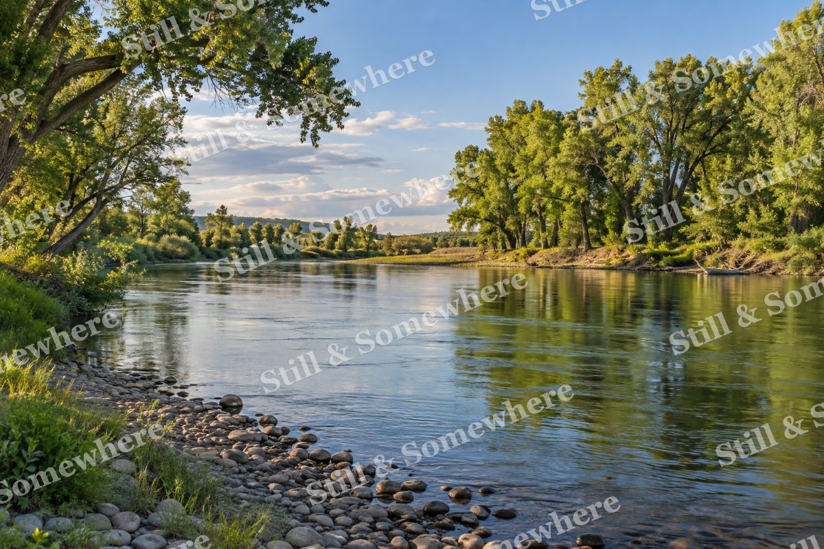 Still River and Cottonwood Grove, original artwork preview