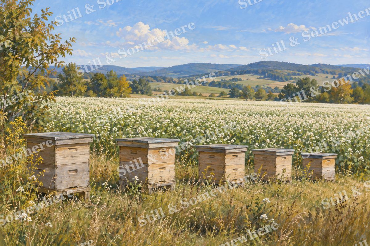 Beehives beside the Buckwheat Field, original artwork preview