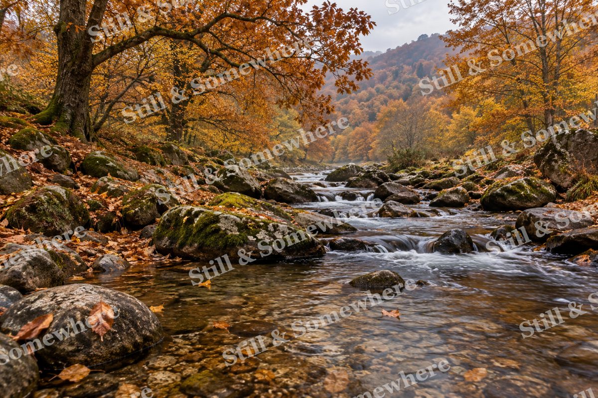The Chestnut Stream after Rain, original artwork preview