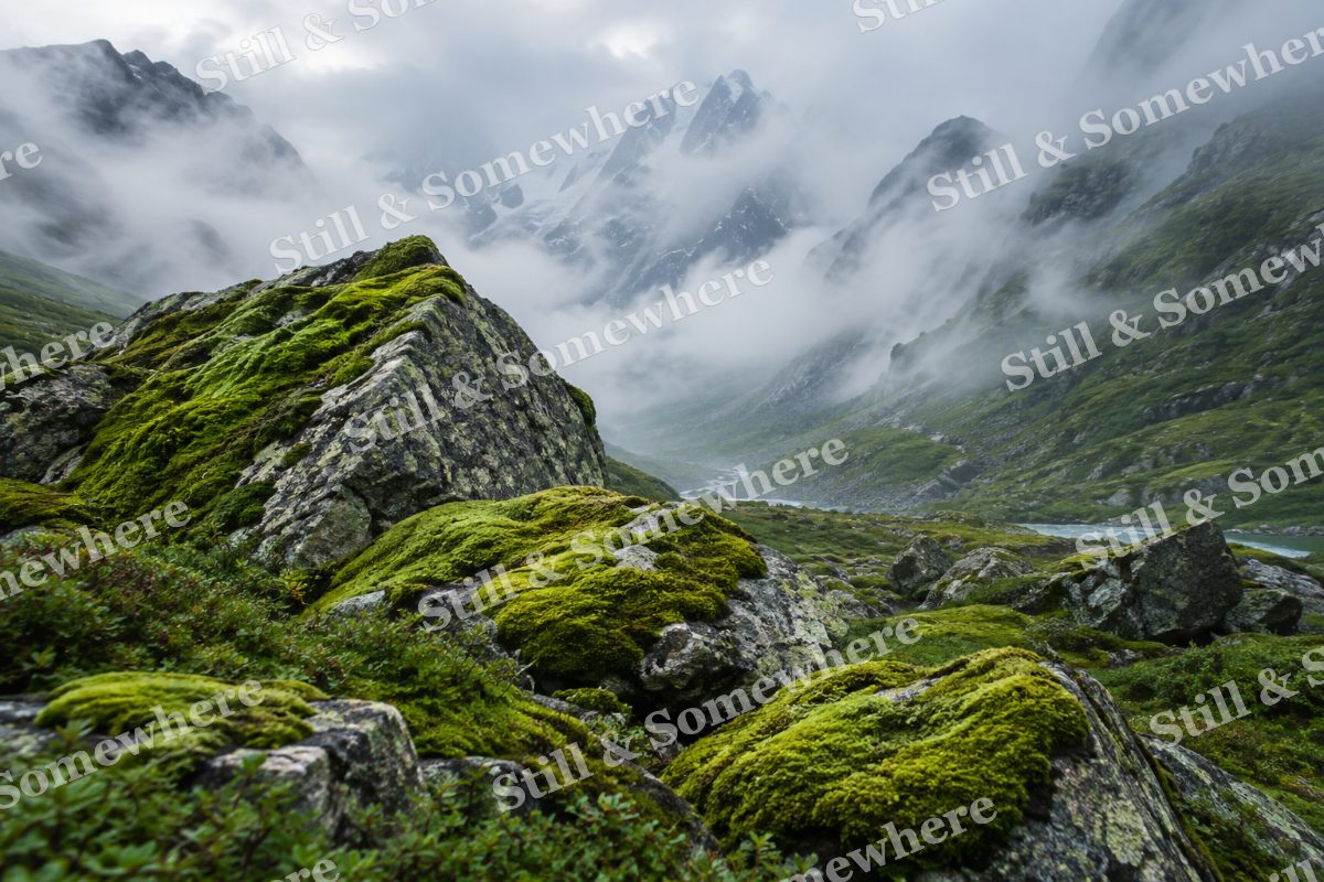 Mossy Boulders Fog, original artwork preview