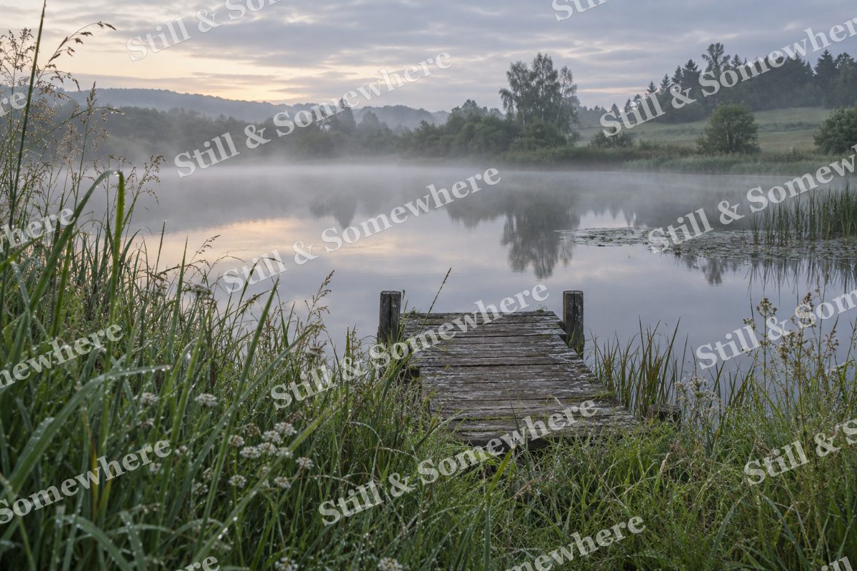 Landscapes Dewy Grasses Beside a Secluded Wooden Jetty, original artwork preview