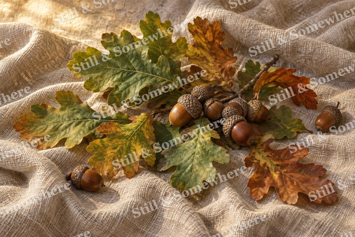 Oak Leaves and Acorns on Linen, original artwork preview