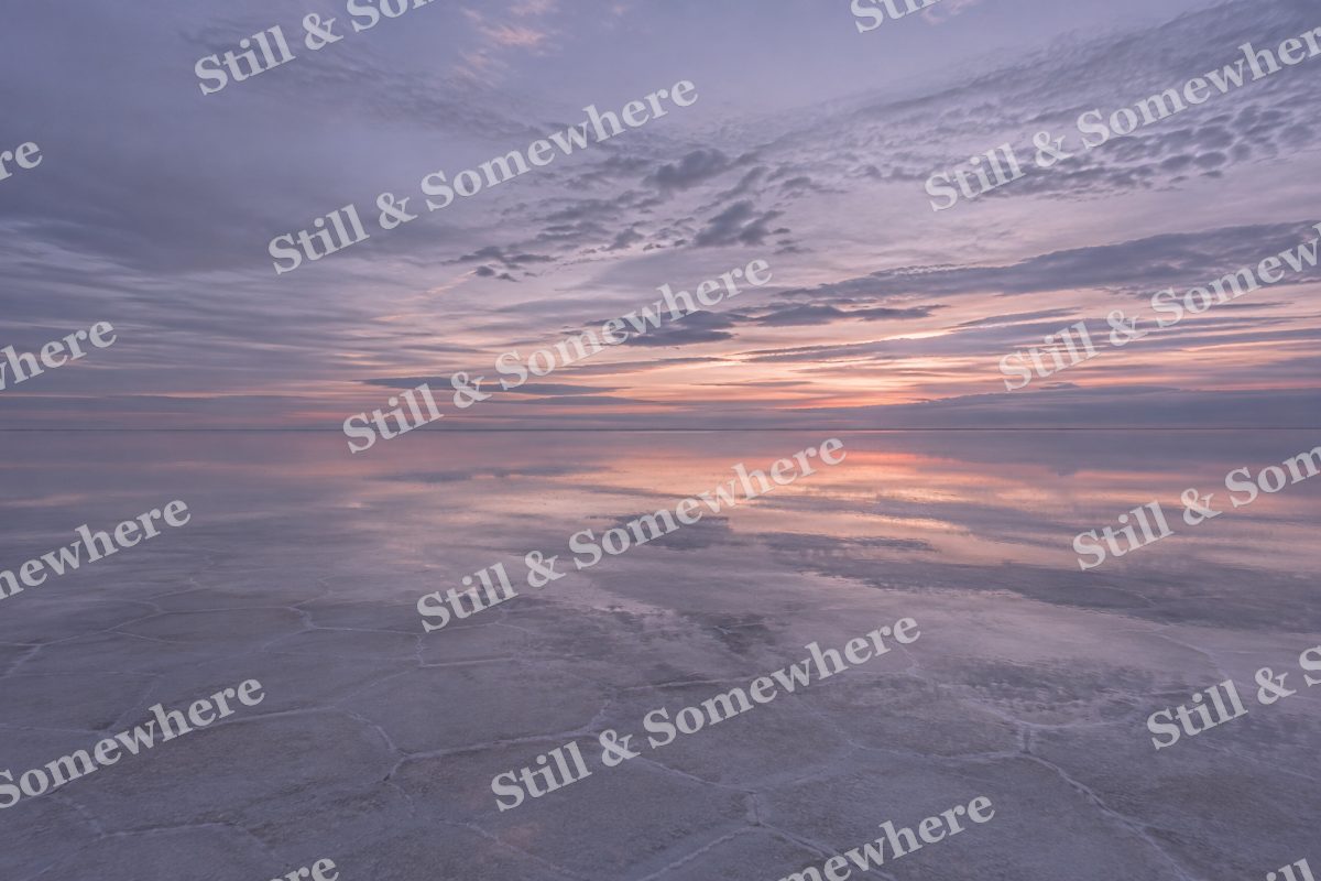 Desert Salt Flat After Rain, original artwork preview