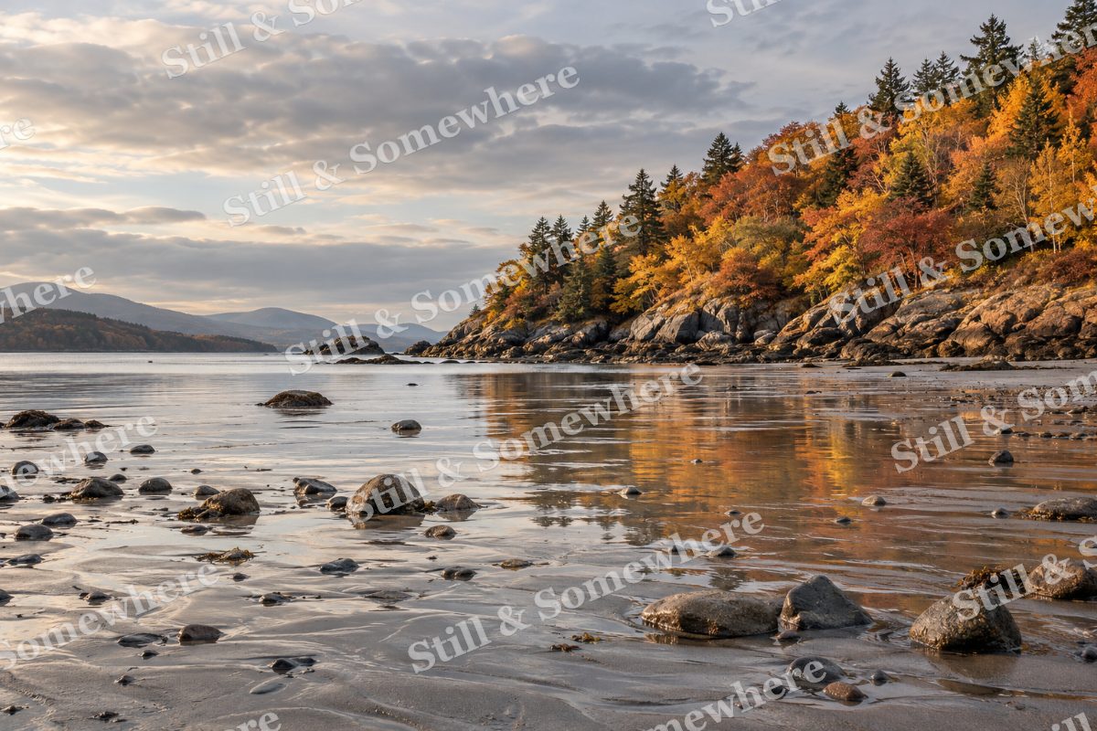 Low Tide at the Copper Headland, original artwork preview