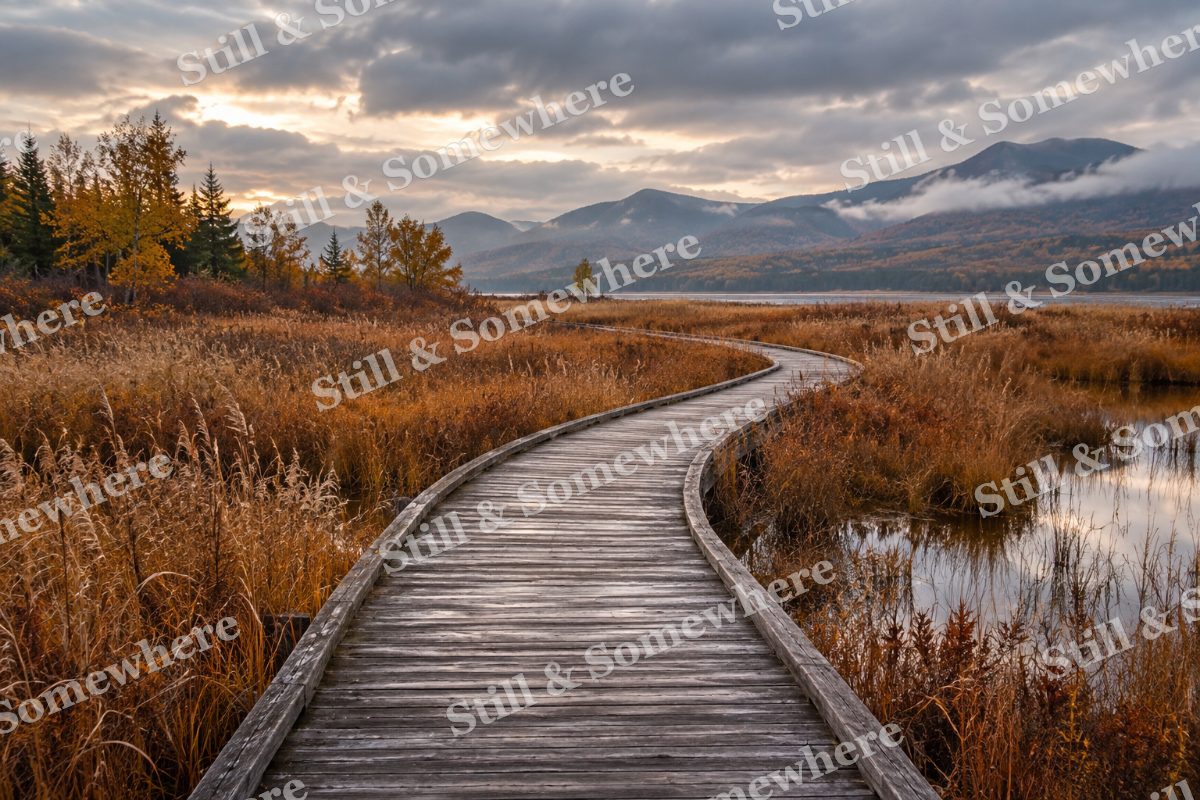 Autumn Marsh Boardwalk, original artwork preview