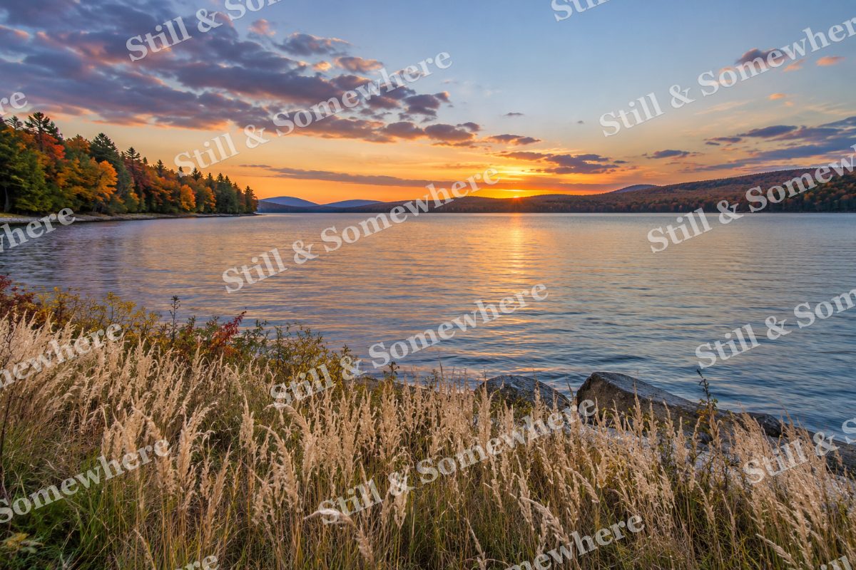 Whispering Grass on the Lakeshore, original artwork preview