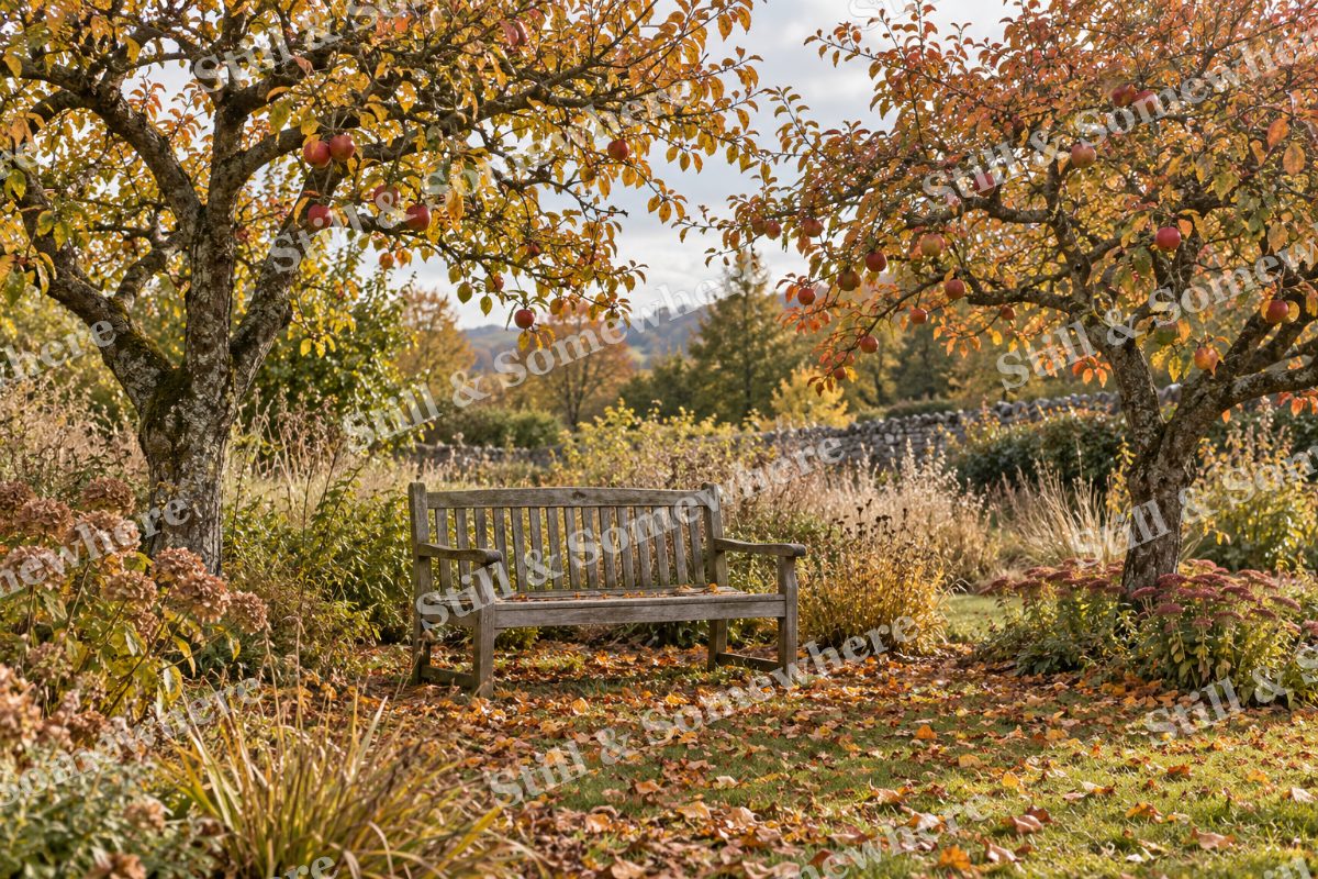 The Orchard Garden Bench, original artwork preview