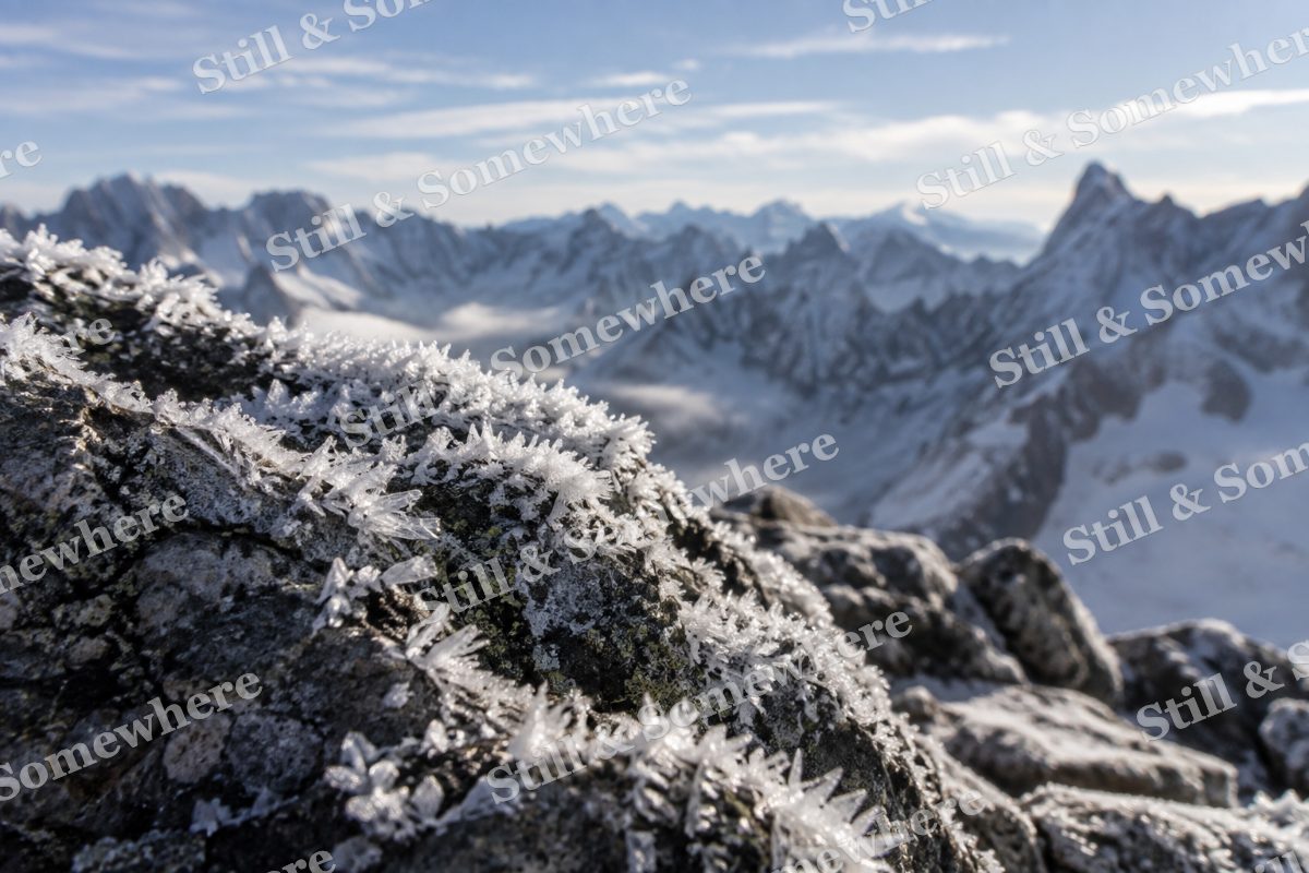 Summit Frost Macro, original artwork preview