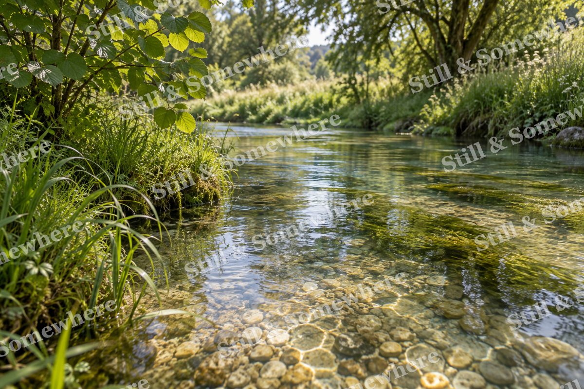 Landscapes Dappled Shade Beside a Chalk Stream, original artwork preview