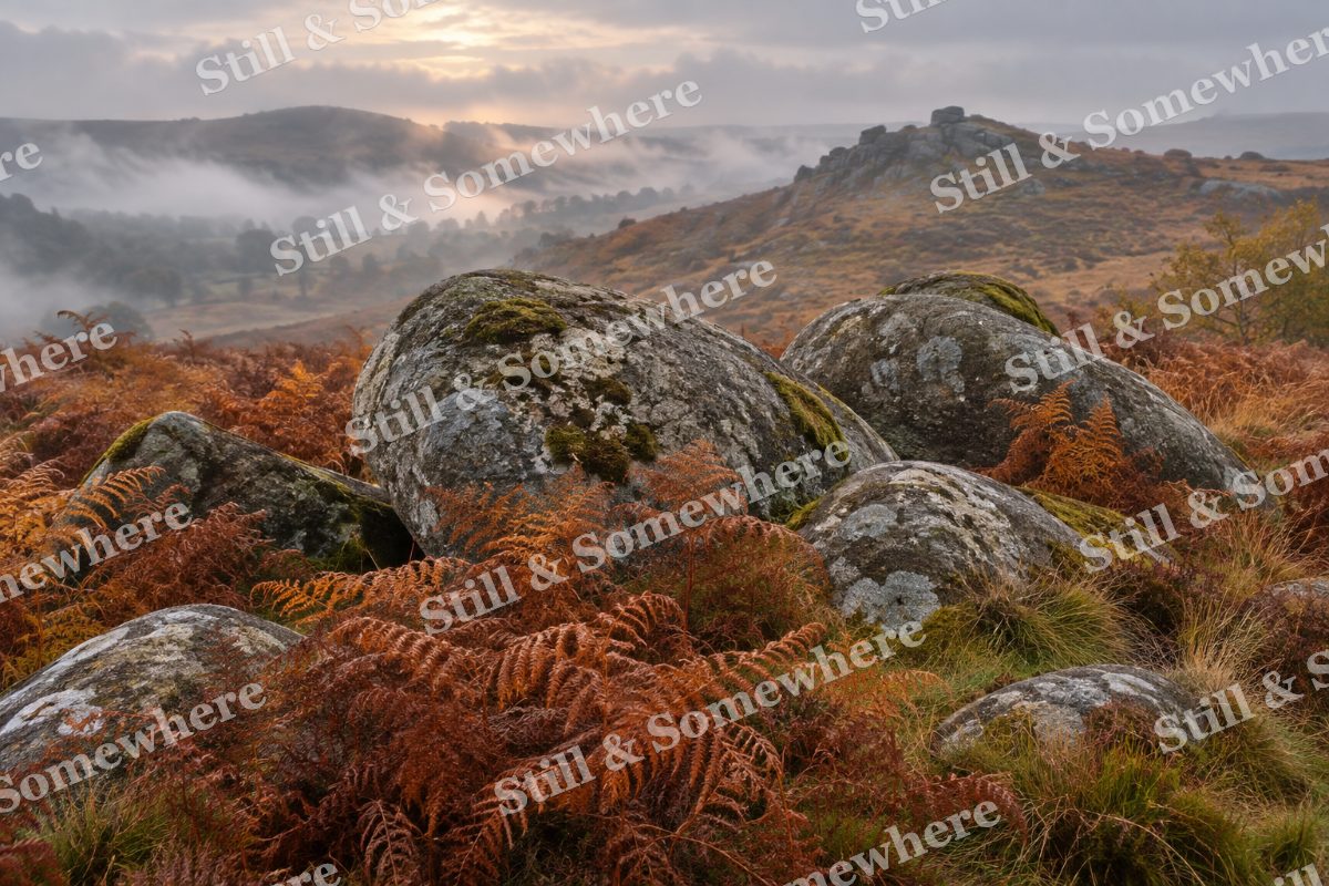 Autumn Bracken and Granite, original artwork preview