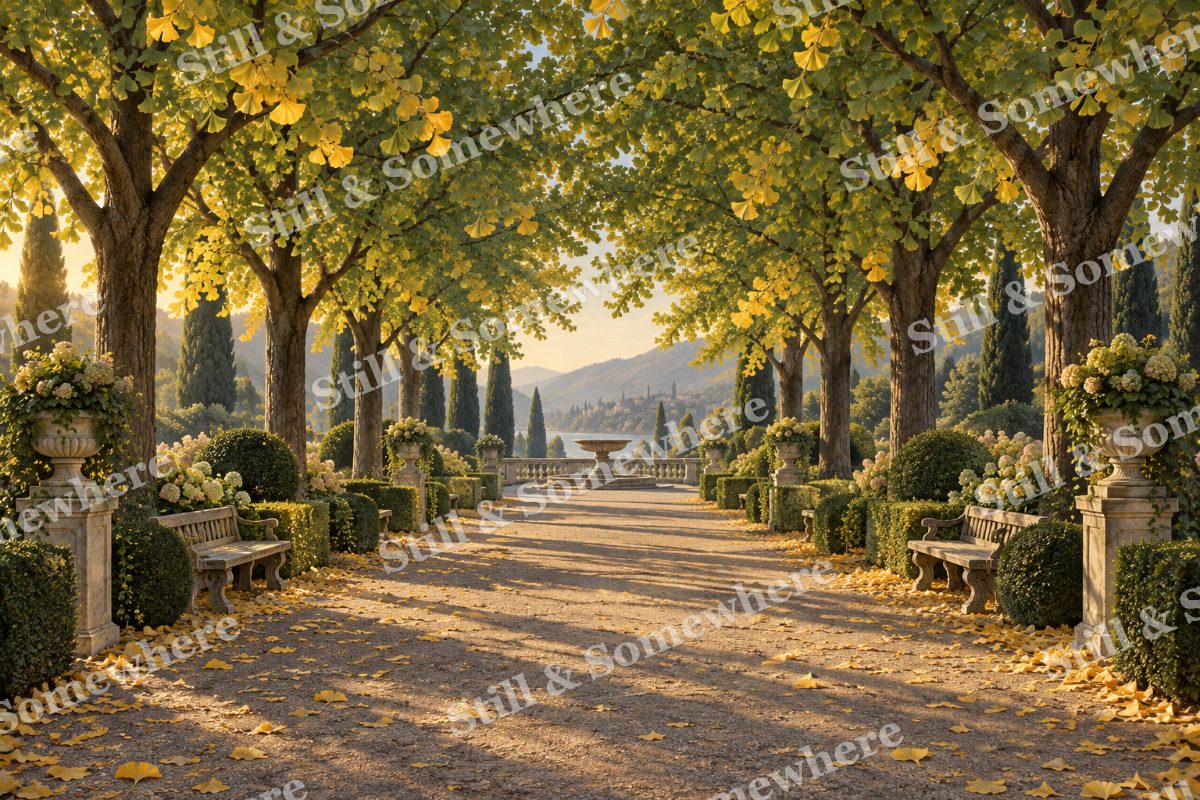 Ginkgo Walk in First Gold, original artwork preview