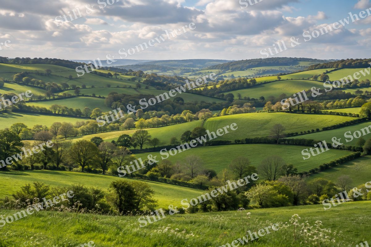 Rolling Green Hills and Hedgerows, original artwork preview