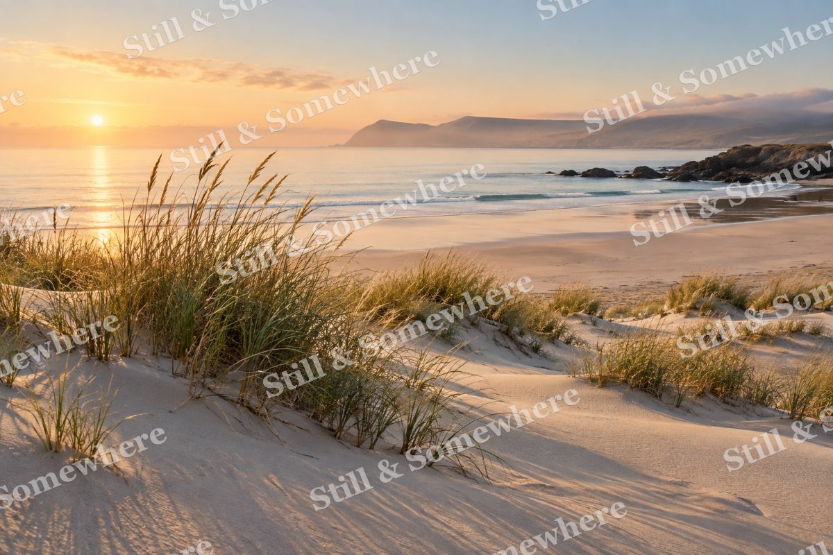 Landscapes Seagrass Shadow on a Sheltered Beach, original artwork preview