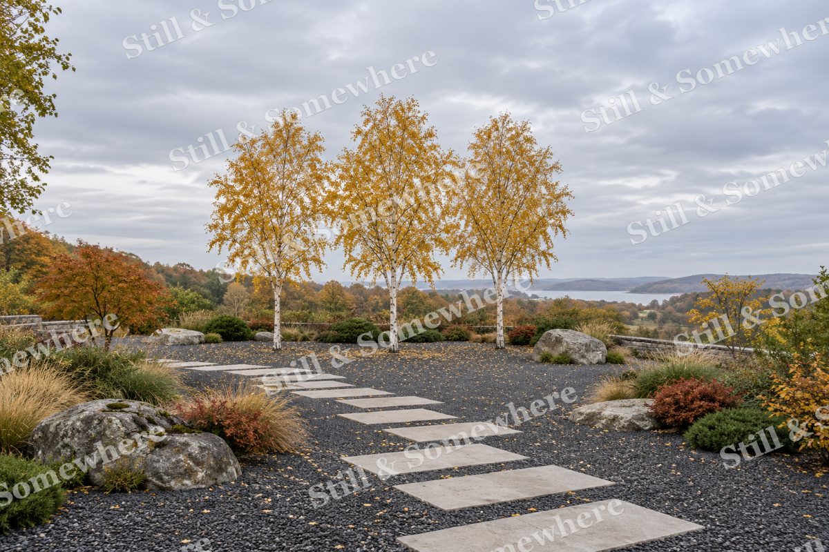 The Birch Courtyard, original artwork preview