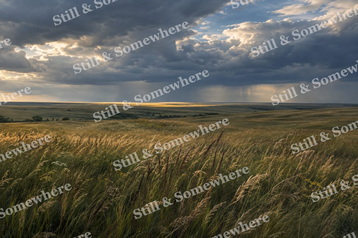 Rain Clouds Over Open Prairie, original artwork preview