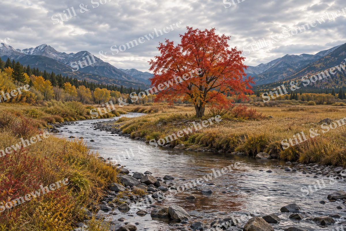 The Silver Creek Bend, original artwork preview