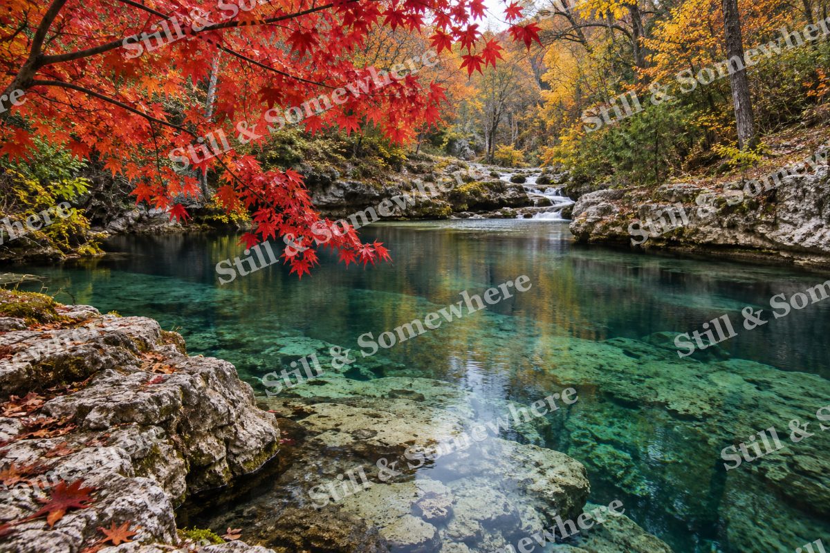 Scarlet Leaves above the Emerald Spring, original artwork preview