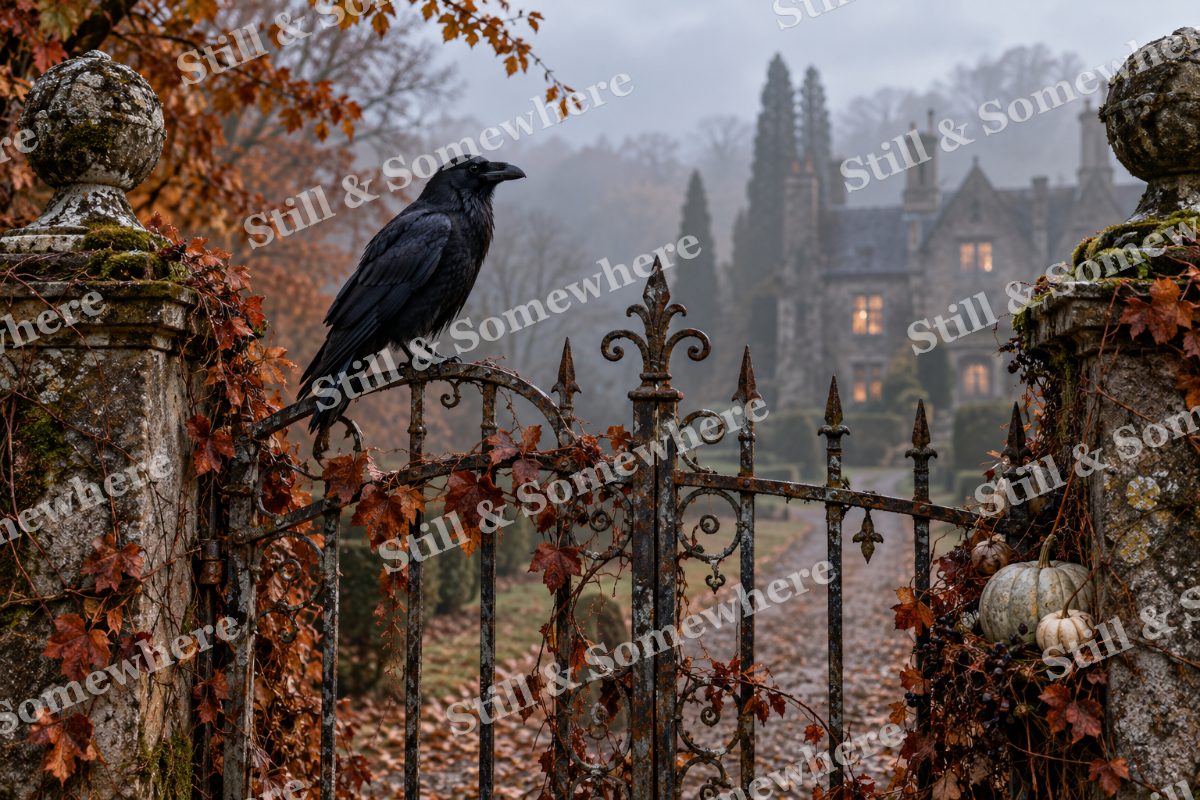 04 Raven Over The Garden Gate, original artwork preview