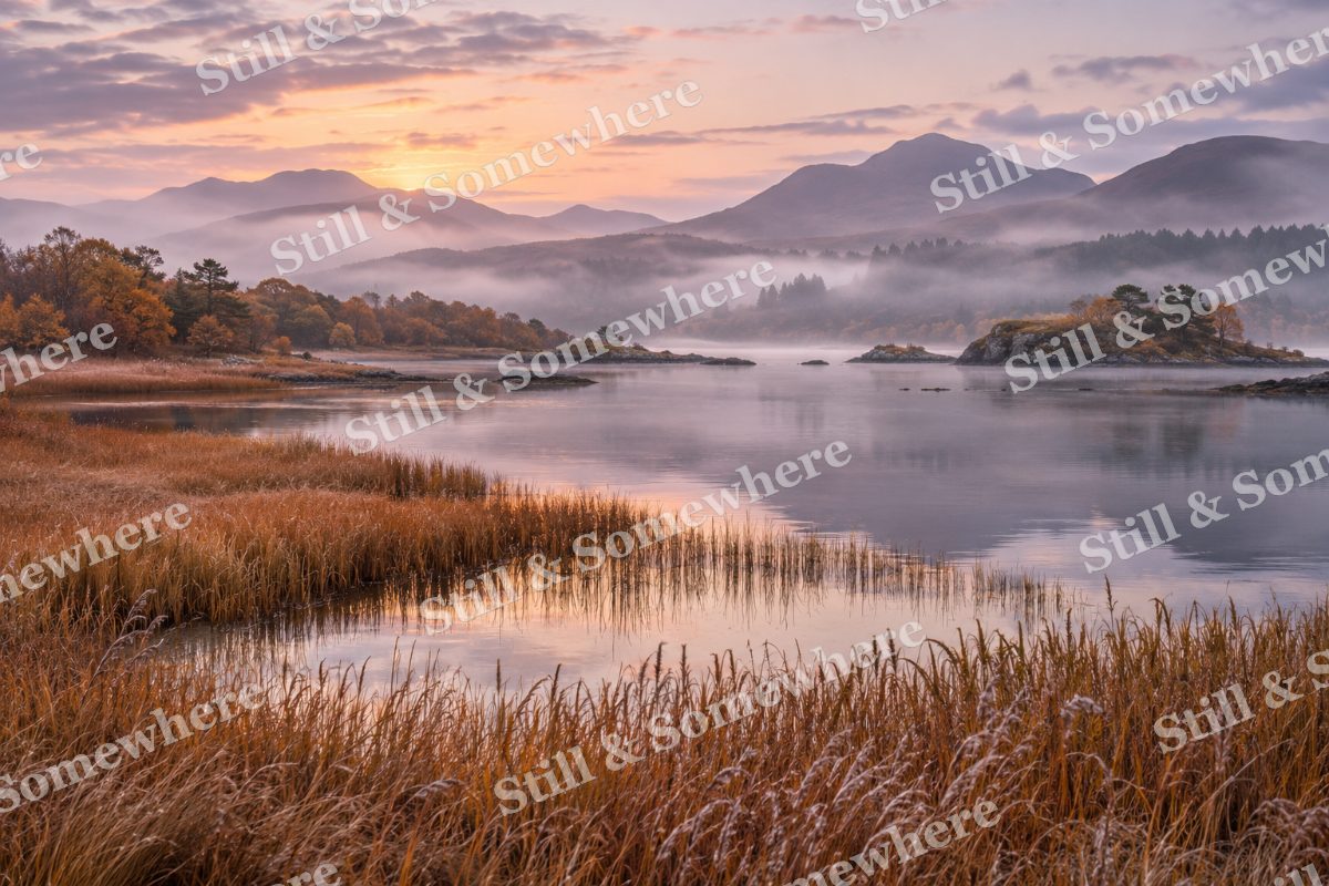 Copper Reeds beside the Inlet, original artwork preview